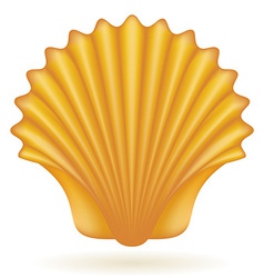 Shell vector image