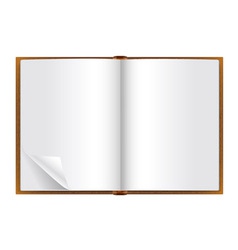 Open book vector image