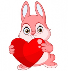 Winter bunny valentine vector image