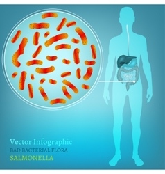 Intestinal infection 01 A-04 vector image