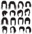 Hair styling for woman vector image