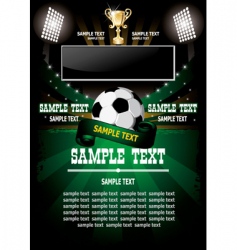 Soccer poster vector image