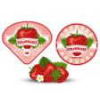 Strawberry label vector image