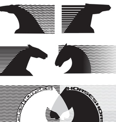 Horses cartoon vector image