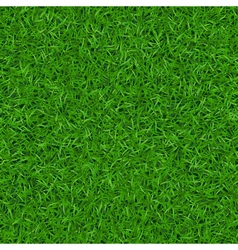 Green grass seamless pattern 1 vector image