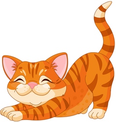 Cute kitten stretching vector image