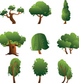 Set of trees - summer vector image