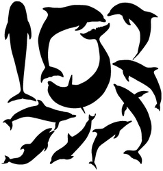 Dolphin Silhouette vector image