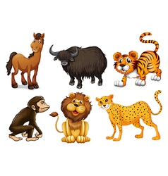 Different kinds of four-legged animals vector image