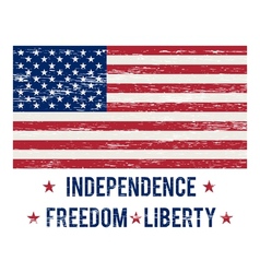 USA flag vintage vector image