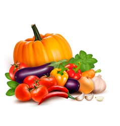 Fresh vegetables Healthy Food vector image