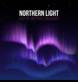 Arctic aurora northern lights in polaris alaska vector image