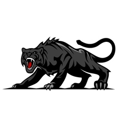 Danger black panther vector image