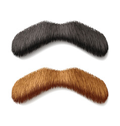 Fake mustaches vector image