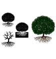 Big tree with roots vector image