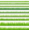 Grass vector image