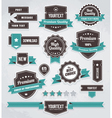 Set of retro labels buttons and icons vector image