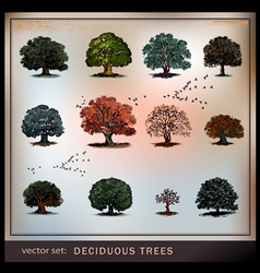 Trees vector image