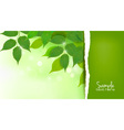 Nature background vector image