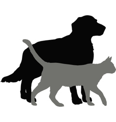 Pet vector image