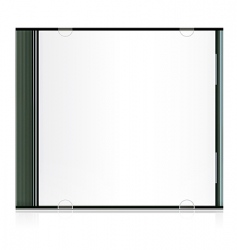 Blank cd box vector image