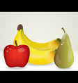 Bunch of fruit vector image