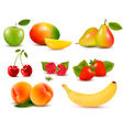 Big set of different fresh fruit and berries vector image