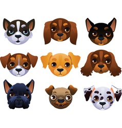 Dogs set vector image