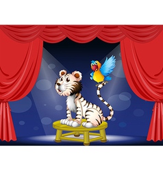 A parrot standing at the tail of a tiger vector image