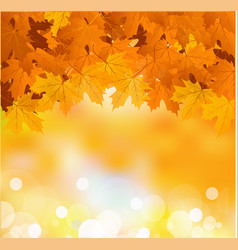 Autumn leaves background vector image