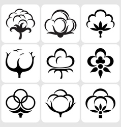 Cotton icons set vector image
