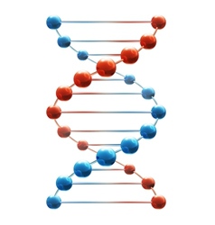Deoxyribonucleic acid Deoxyribonucleic acid vector image