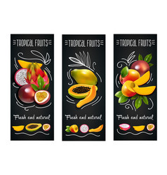 Tropical fruits chalkboard label set Tropical fruits chalkboard label set vector image