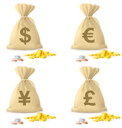 Money Bags vector image