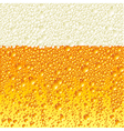 Beer background vector image
