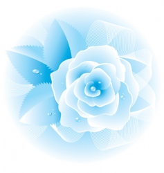 Rose bouquet vector image