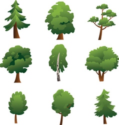 Set of trees - summer vector image