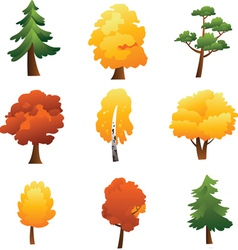 Set of trees - autumn vector image