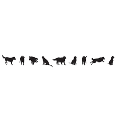 Dog silhouettes vector image