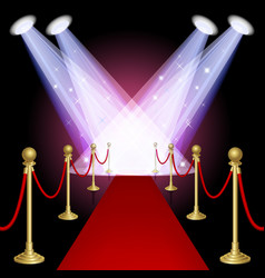 Red carpet vector image