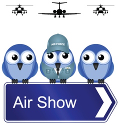 AIR SHOW SIGN vector image