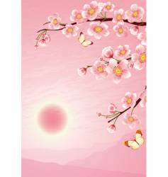 Sakura cherry blossom vector image