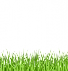 Grass pattern vector image