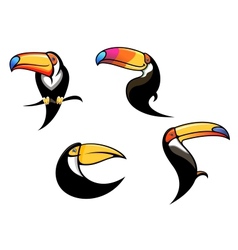 Funny toucan mascots and symbols vector image