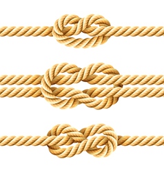 Rope knots vector image