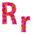 Flower alphabet of red roses characters rr vector image