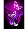 Fantasy transparent butterfly vector image