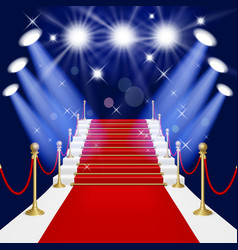 Red carpet with ladder vector image