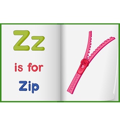 Zipper vector image