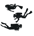Divers vector image